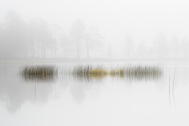 &copy; Josh Holko