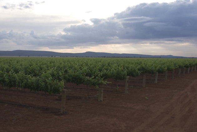 Southern Premium Vineyards, PSP Investments&rsquo; platform that owns Australian vineyards, has acquired 35 properties from, and entered a long-term grape supply agreement with, Casella Family Brands.