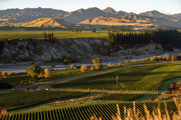 Villa Maria's Marlborough vineyard Black Birch.