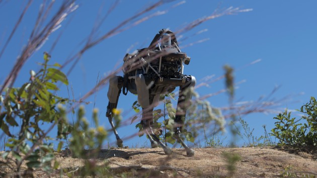 &lsquo;Spot&rsquo;, a quadruped prototype robot, walks down a hill during a demonstration at Marine Corps Base Quantico.
US DoD