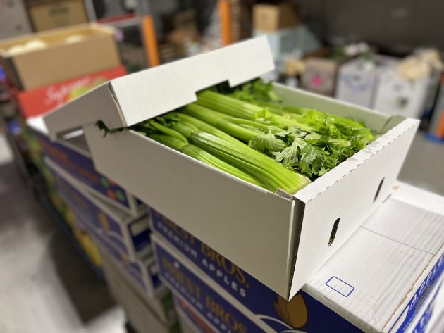 Wax-free Celery Carton: Opal