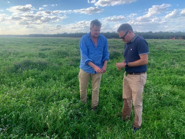 Barambah Organics CEO Matthew Stanton and Ian Campbell on one of Barambah's farms,