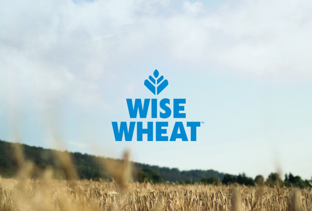Allied Pinnacle has selected FMCG brand and design agency, Molasses, as the creative lead to launch its Wise Wheat brand.
