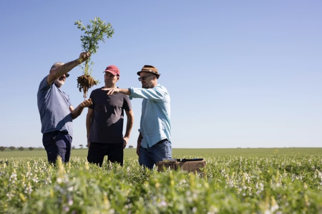 Wide Open Agriculture co-founders (middle-right): Managing director, Ben Cole and Anthony Maslin. (Left: Former director, Stuart McAlpine) (Image source: Wide Open Agriculture)