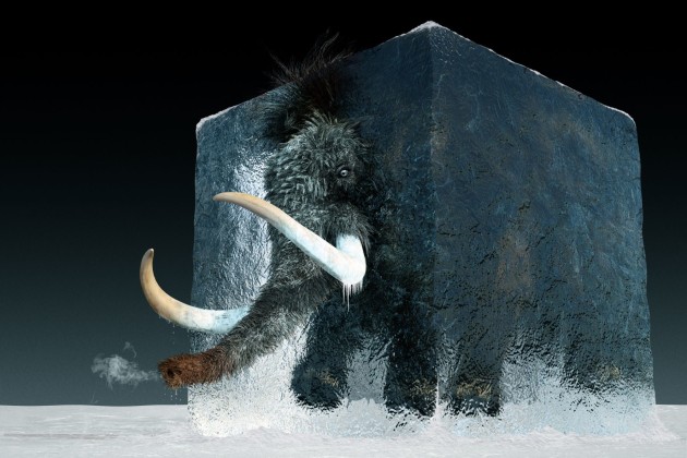 Australian cultivated meat company VOW Food has created the first meat from an extinct animal&rsquo;s DNA, revealing the Mammoth Meatball at the Nemo Science Museum in the Netherlands overnight.
