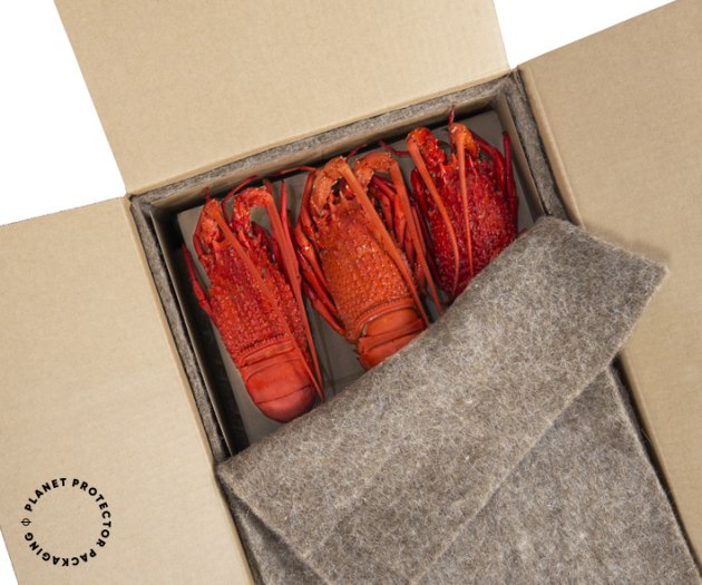 Lobster Protector by Planet Protector Packaging: Food category