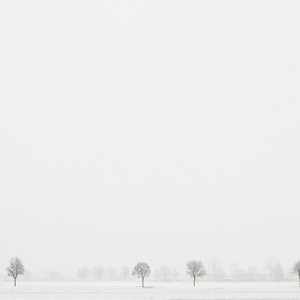 From the series 'White Forest' by Yang Liu, 2014 Landscape Photographer of the Year.