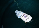 Merrell goes multi-brand in Melbourne flagship