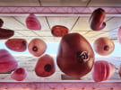Nala's Boobie Lane draws thousands of reactions within a day