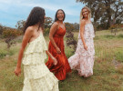 Petal & Pup goes offline to grow its online database