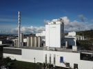 A2 Milk earnings growth falls with supply failure