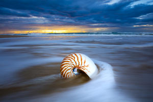 Two new Australian Photography photo tours announced