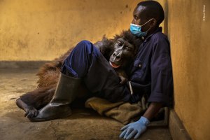 Winners revealed for 58th annual Wildlife Photographer of the Year