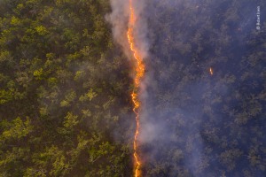 Robert Irwin&rsquo;s drone image wins Wildlife Photographer of the Year People's Choice Award