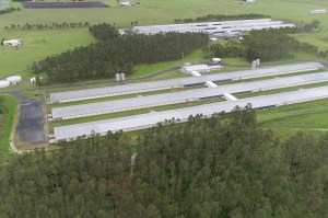 NSW EPA fines Newcastle poultry processor $15k