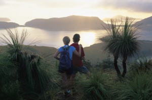 Why your perfect travel partner might not be your family