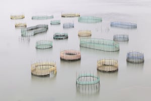 Who is Australasia&rsquo;s Top Emerging Photographer 2020?