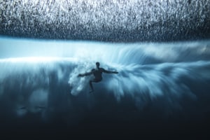 World's best ocean photographers celebrated