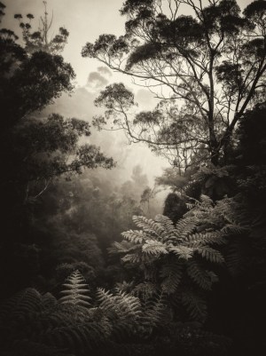 Winners announced for The Landscape Awards 2023 