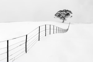 Heritage Bank announces winners of $50k Photographic Awards