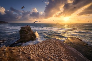 The Landscape Awards 2025: A closer look at our four winners