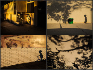 2020 Photographer of the Year: Tips from the winners