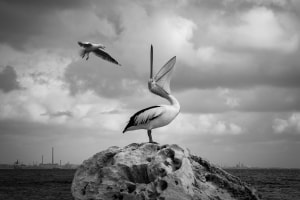 'It&rsquo;s all about the subject': Pearls of Wisdom from The Mono Awards judges
