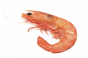 Activists push for boycott over prawn eyestalk removal
