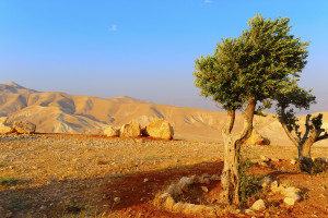 Video: How to deal with boring skies in landscape photography