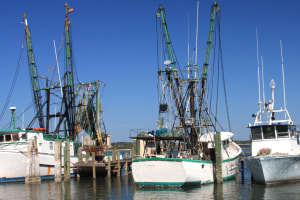 R&D grants open for fisheries, aquaculture