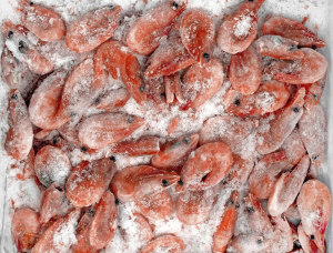 From sea to protein: biowaste solutions help fill gap