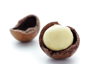 Finasucre secures $60m macadamia orchard deal
