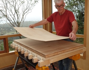 Homage Piece: veneered coffee table