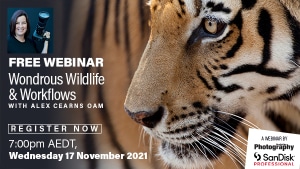Video: Watch our webinar with Alex Cearns OAM 