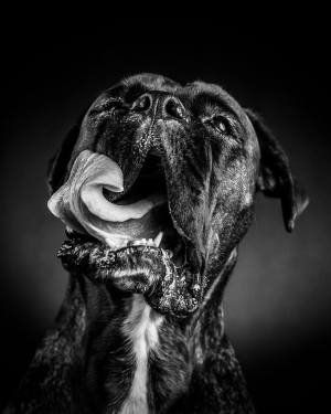 The Monthly Photo Comp: Past Winners