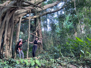 Japan's Okinawa is best explored by foot