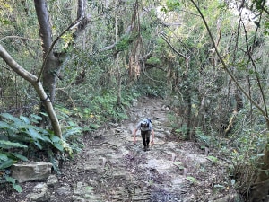 'Great Walks' hikes deeper into Okinawa