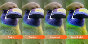 How Aiarty enhances camera photos: Less noise, sharper details, and better clarity 