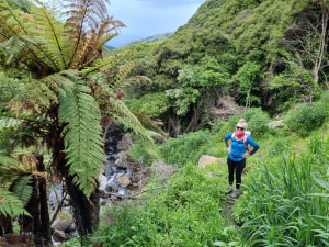 The beauty of NZ's Banks Track - Pt II
