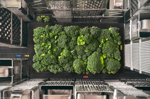 World's best food photographs served up 