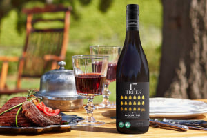 Sustainable sources core to 17 Trees launch