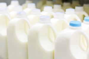 Dairy update: ANZ standing strong amidst global uncertainty