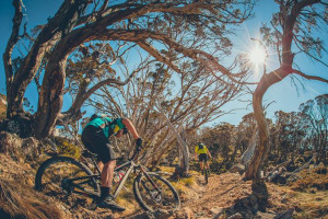 Cannonball rego open as Otway returns