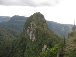 Experiencing the ancient beauty of Springbrook NP