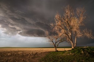 The Stormys: The winners of the 2022 Storm Photographer of the Year
