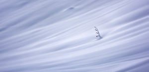 2021 EPSON International Pano Awards: call for entries