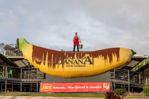 A big reveal for Allen's new banana lollies