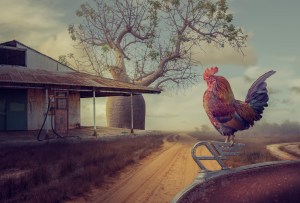 Australasia's Top Emerging Photographers 2022: Art, Runner-up