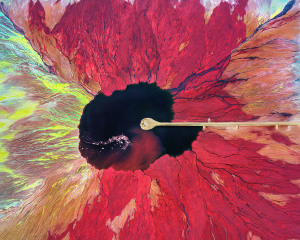 2020 Australasia's Top Emerging Photographers: Landscape, Runner-up
