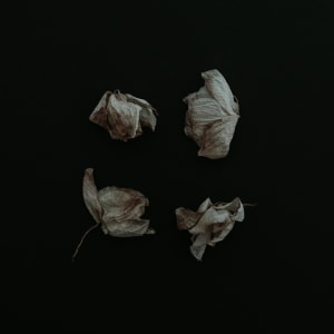 2020 Australasia's Top Emerging Photographers: Art, Runner-up